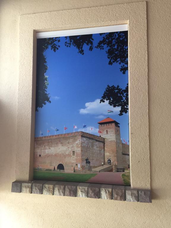 Apartment Regina Delux Gyula